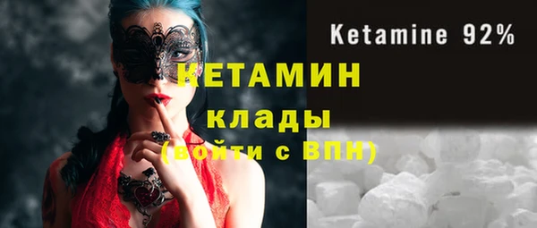 твердый Ладушкин