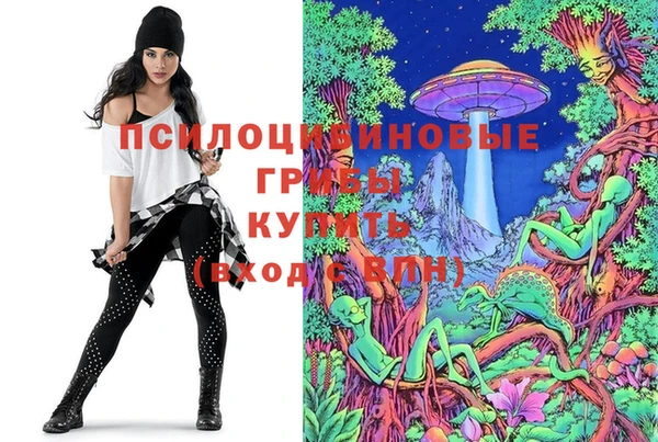 твердый Кукмор