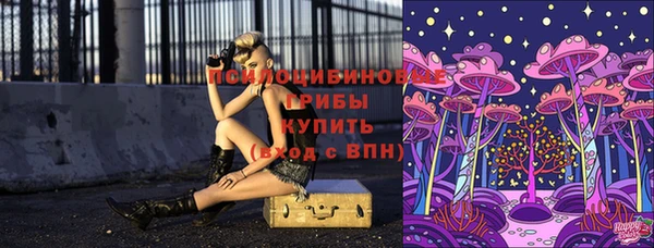 твердый Ладушкин