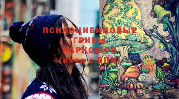 твердый Ладушкин