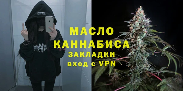 твердый Ладушкин