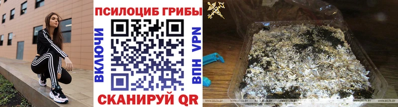 Галлюциногенные грибы Cubensis  Трубчевск 